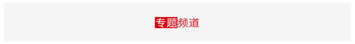专题片