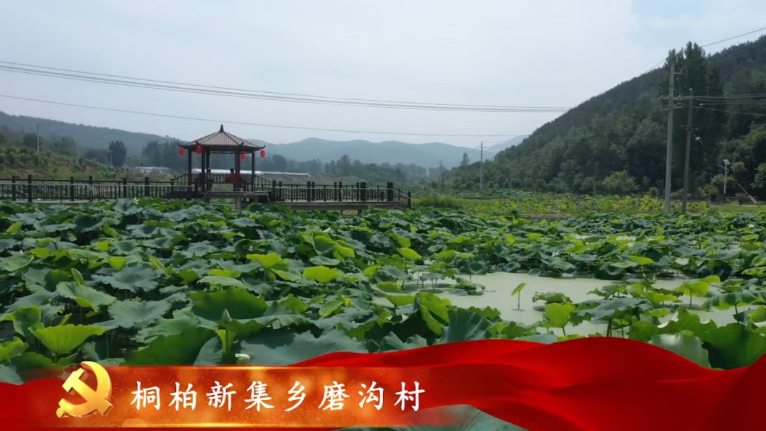 再走红二十五军长征路 ▎世上有朵美丽的花,淮河源头吐芳华