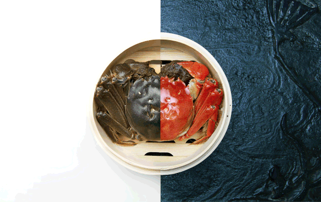 天哪!咱许昌的好兄弟,竟然是位美丽的姑娘!