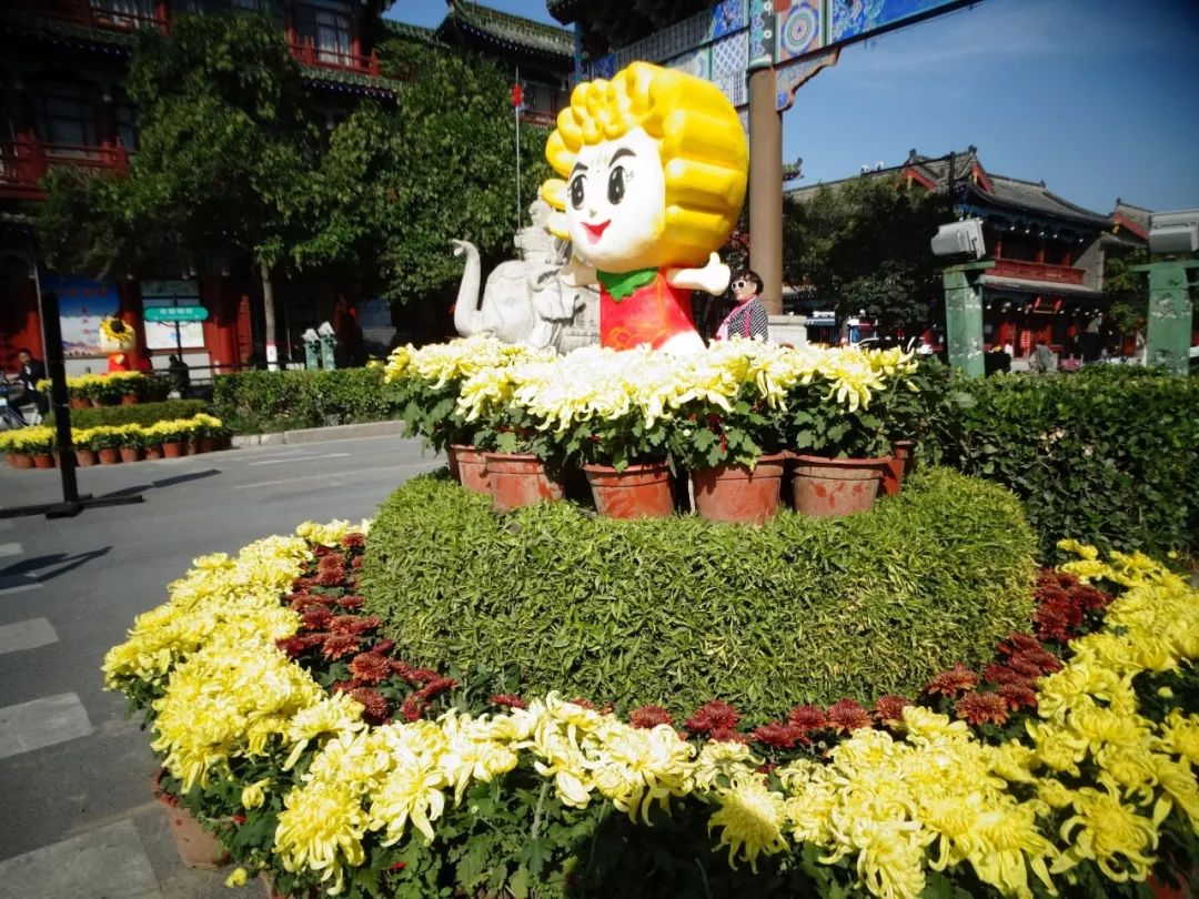 交响音乐会、国际动漫节、自行车赛……菊香十月，开封有约