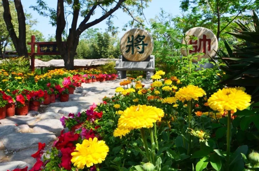 交响音乐会、国际动漫节、自行车赛……菊香十月，开封有约