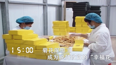 【视频】一天24小时,开封在发生什么?