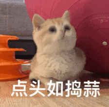 期待！鹤壁将举办一场令人瞩目的盛会!