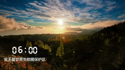 【视频】一天24小时，南阳在发生什么？