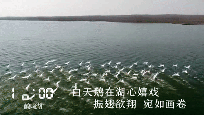 【视频】一天24小时,鹤壁在发生什么?