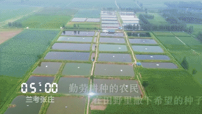 【视频】一天24小时,开封在发生什么?