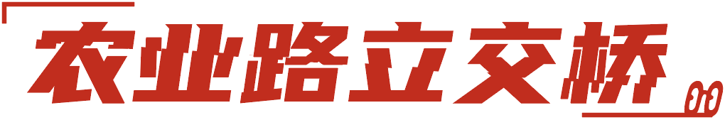 郑州空城日记:褪去繁华,依然是我深爱的城市
