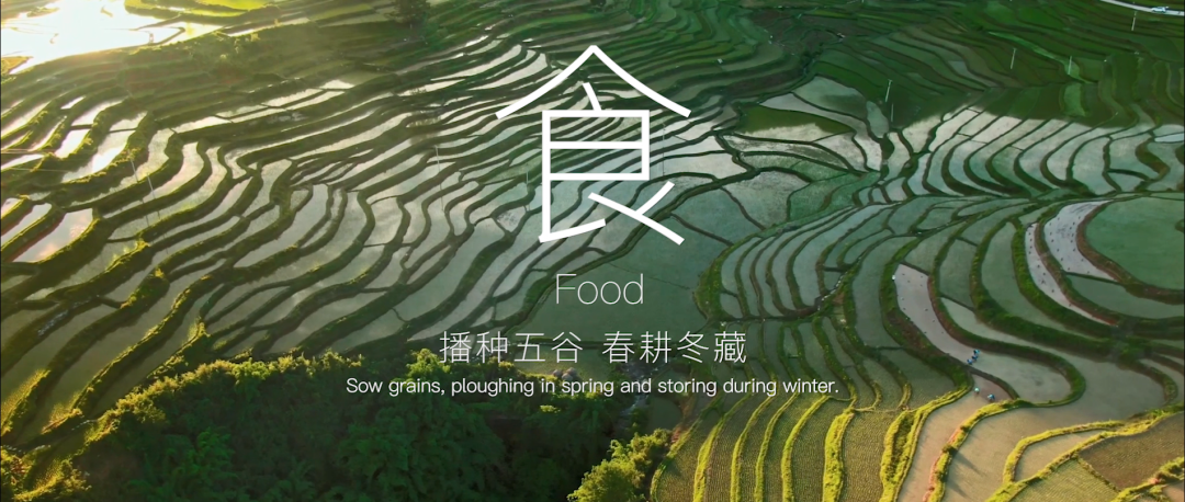 别眨眼,330秒带你回到华夏起源的时代