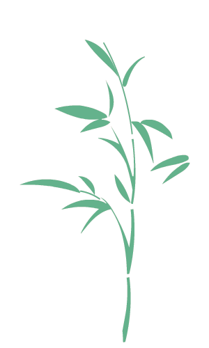 【网络中国节•端午】端午节的习俗