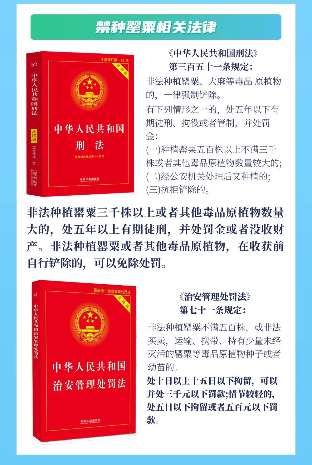 国际禁毒日 | “种一株也违法！”珍爱生命，远离毒品！