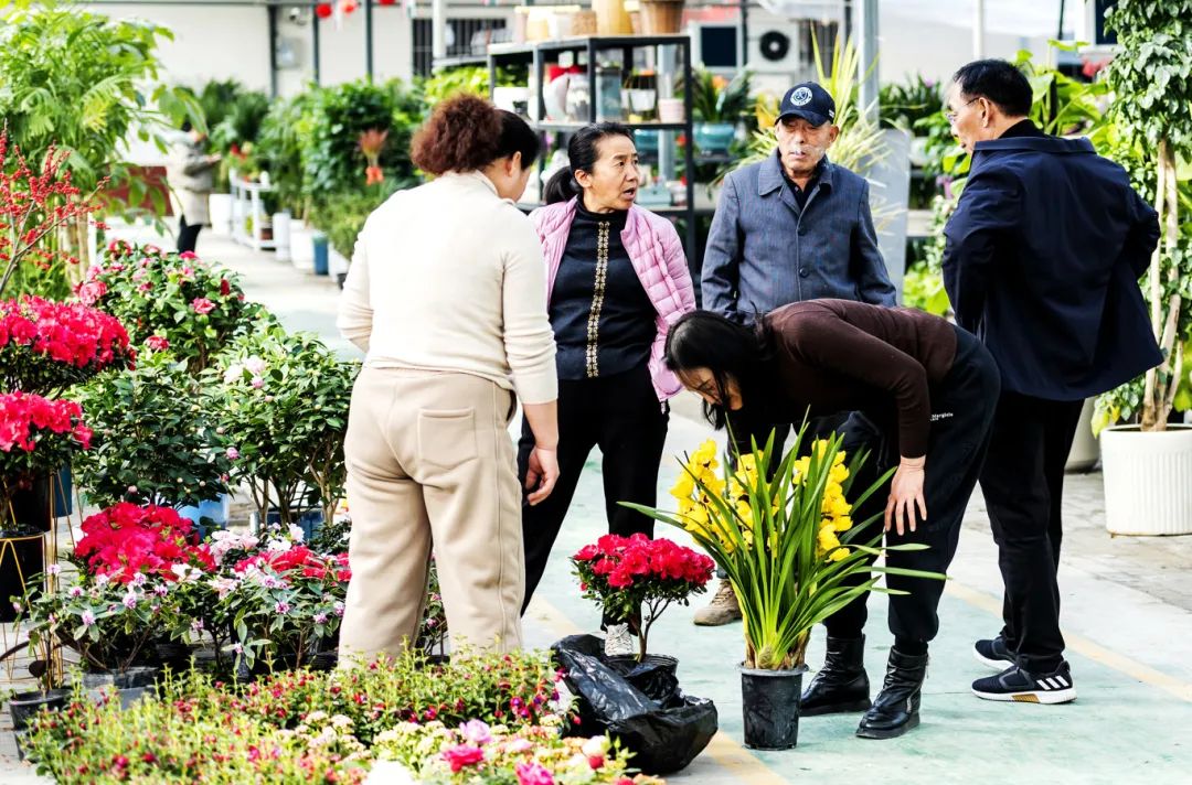 【网络中国节·春节】许昌新春花市年味儿浓