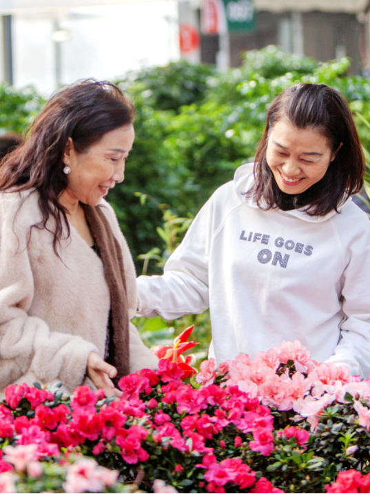 【网络中国节·春节】许昌新春花市年味儿浓