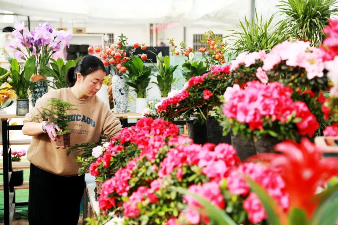 【网络中国节·春节】许昌新春花市年味儿浓
