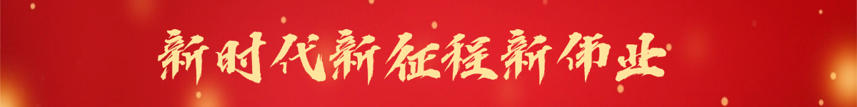 新时代新征程新伟业