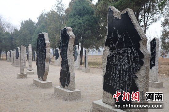 动态