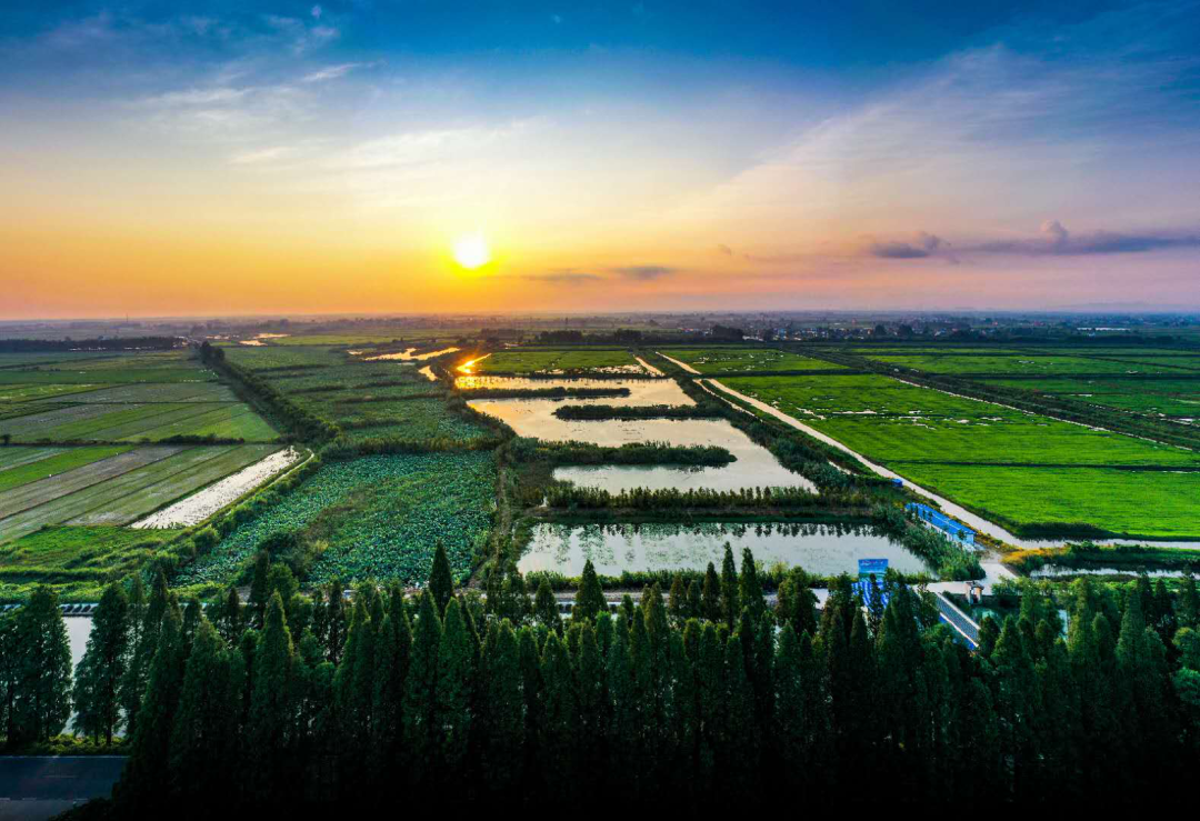 微信图片_20220409120619.png
