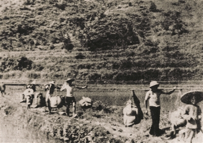 红旗插上大岭山