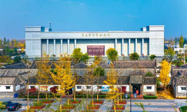 陈司令请客：沂蒙烽火中的温情守护