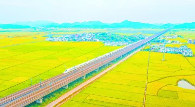 党的十九届五中全会的全局性、历史性意义 党的十九届五中全会的全局性、历史性意义