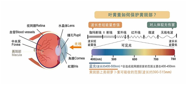 商业快讯