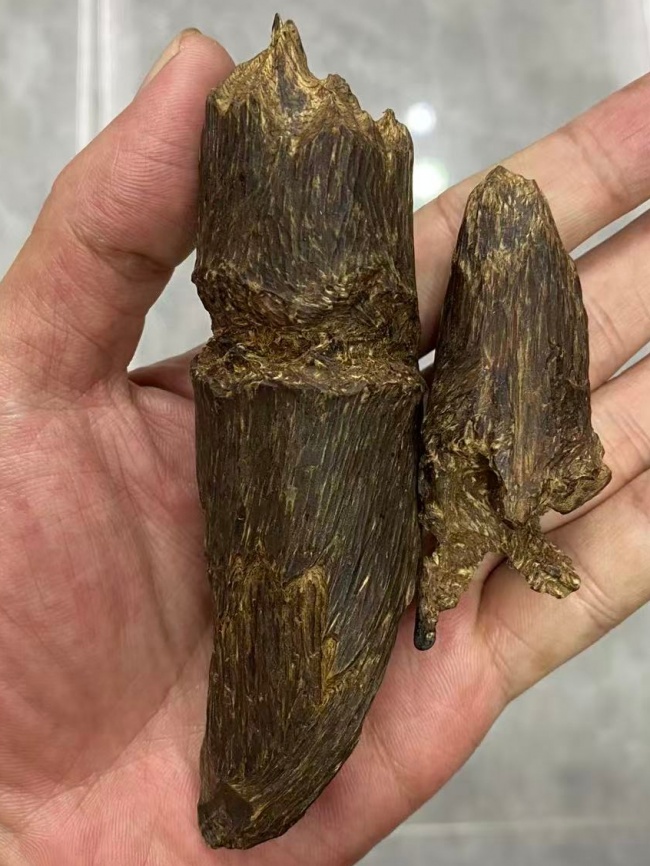 产业资讯
