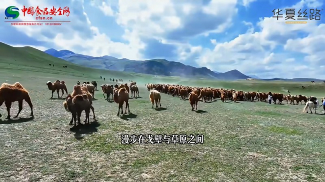产业资讯
