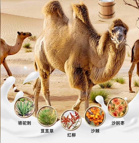 产业资讯