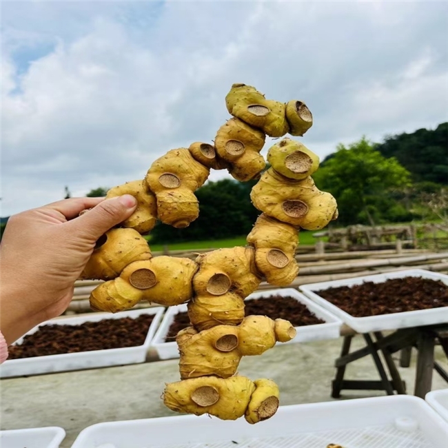商业快讯