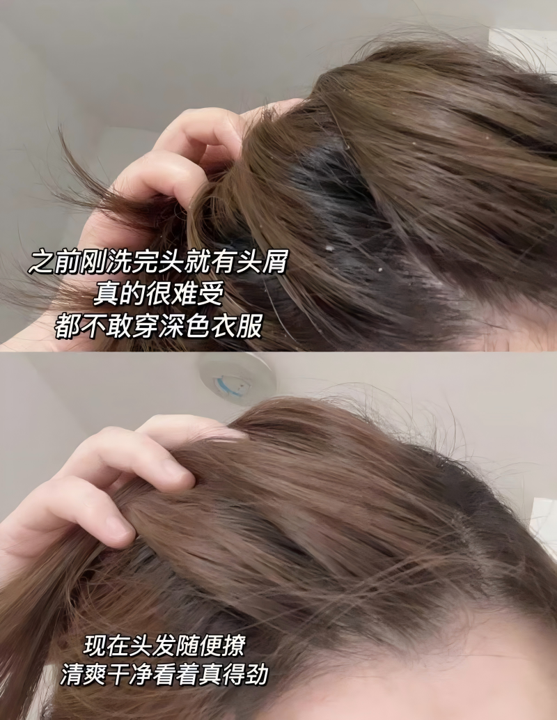 产业资讯