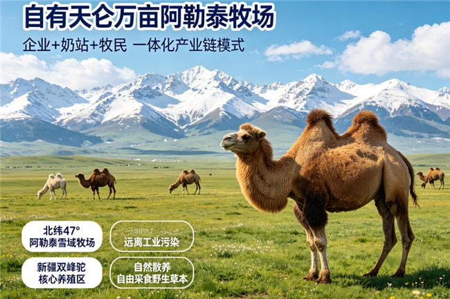 商业快讯