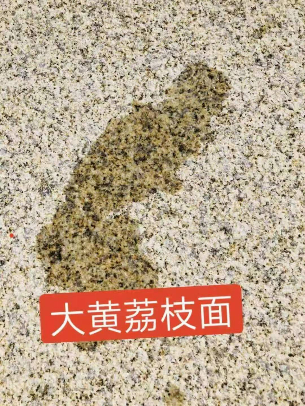 产业资讯