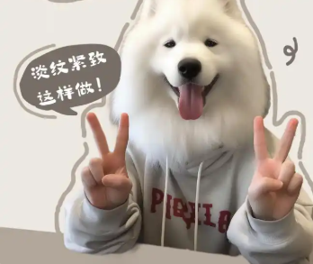 产业资讯