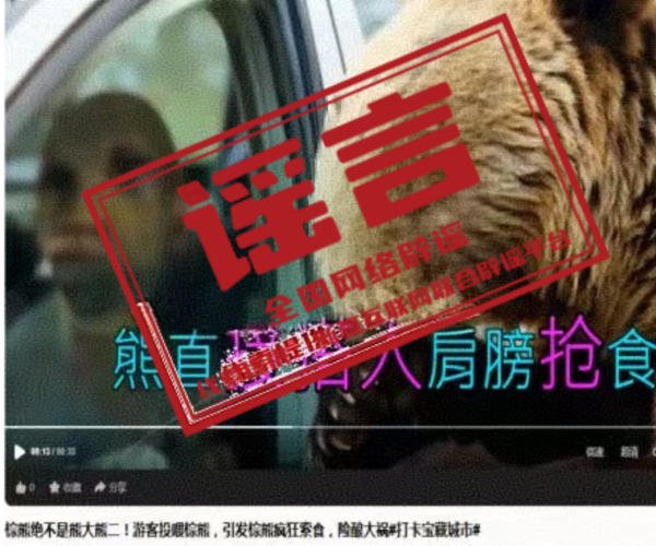网传“喀纳斯棕熊索食险酿大祸”系AI编造(2026·10·08)