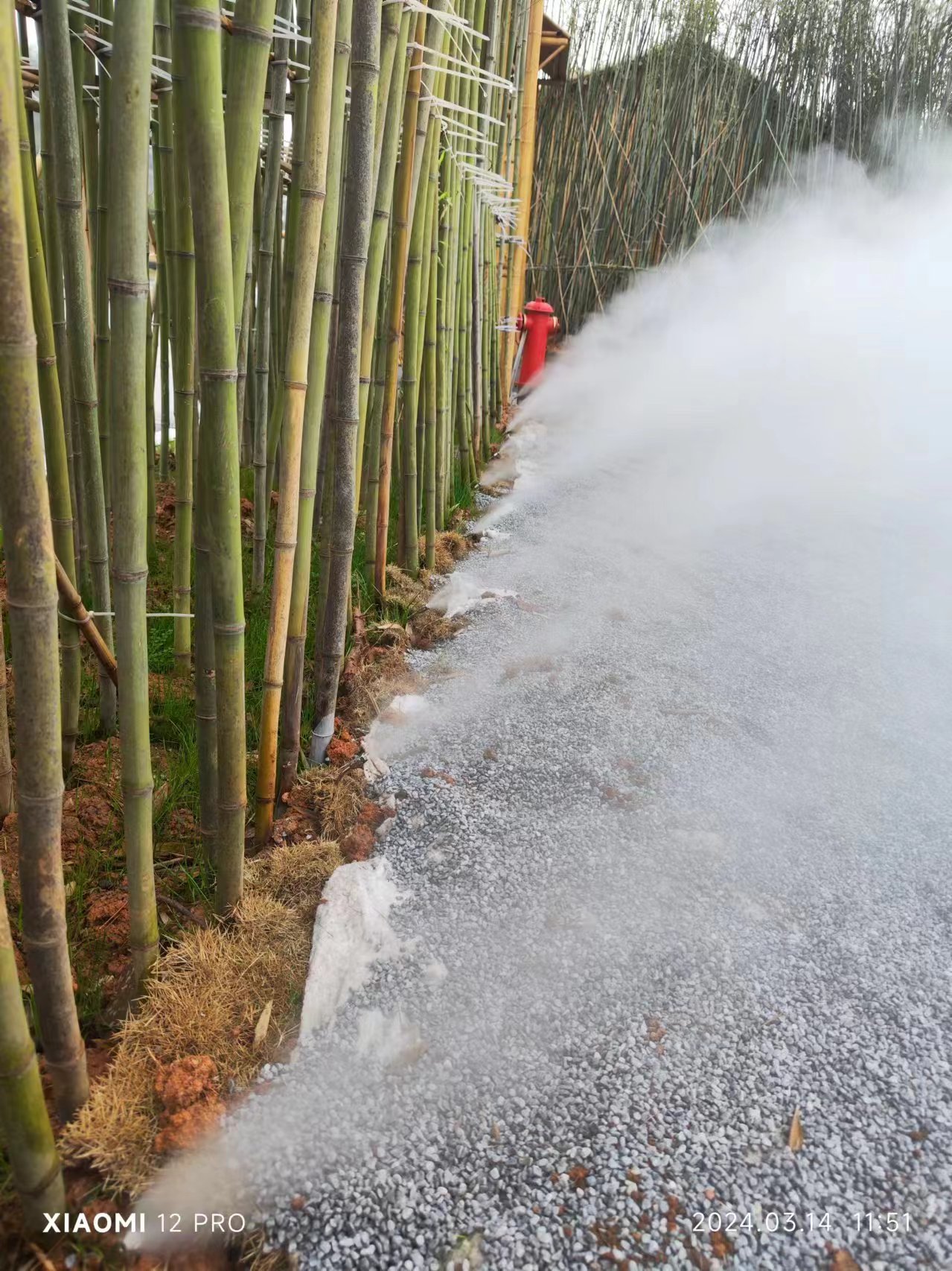 8c59a90631e7354e5192eb14b95b319 - 副本 - 副本.jpg