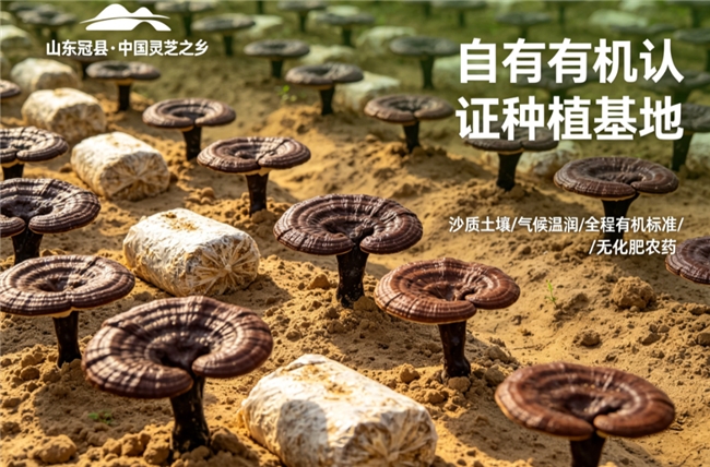 商业快讯