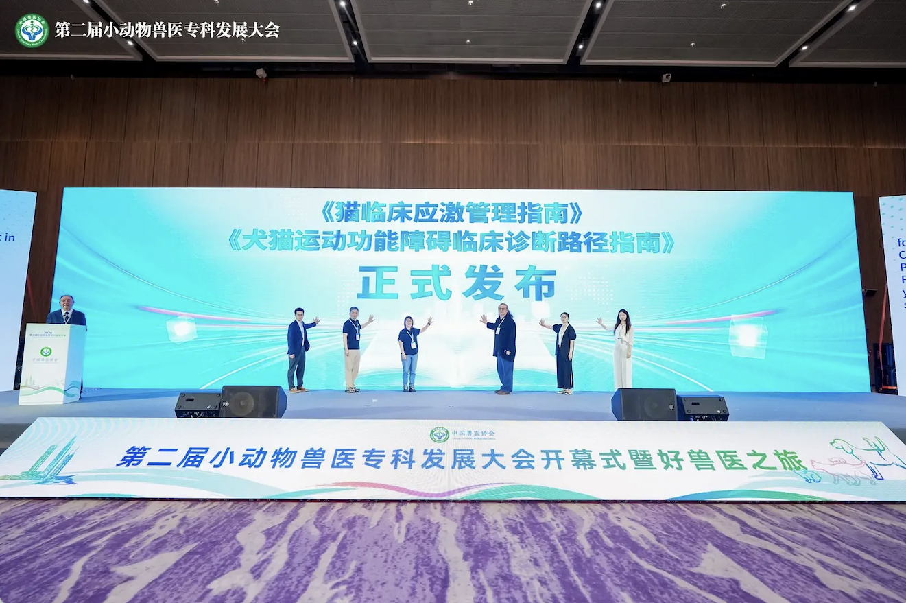 猫咪后肢运动障碍示意图